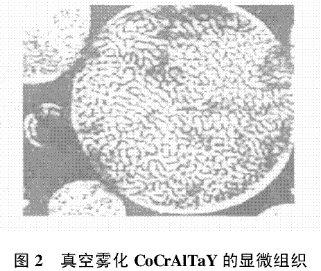 图片2.gif