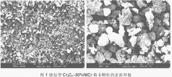 图片10.gif