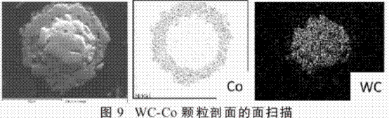 图片12.gif