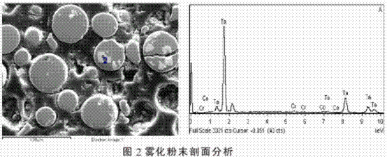 图片18.gif