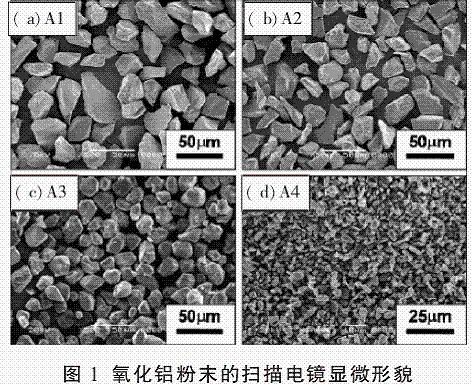 图片14.gif